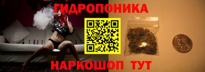 прущие крисы Обь