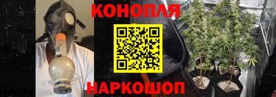 прущие крисы Обь