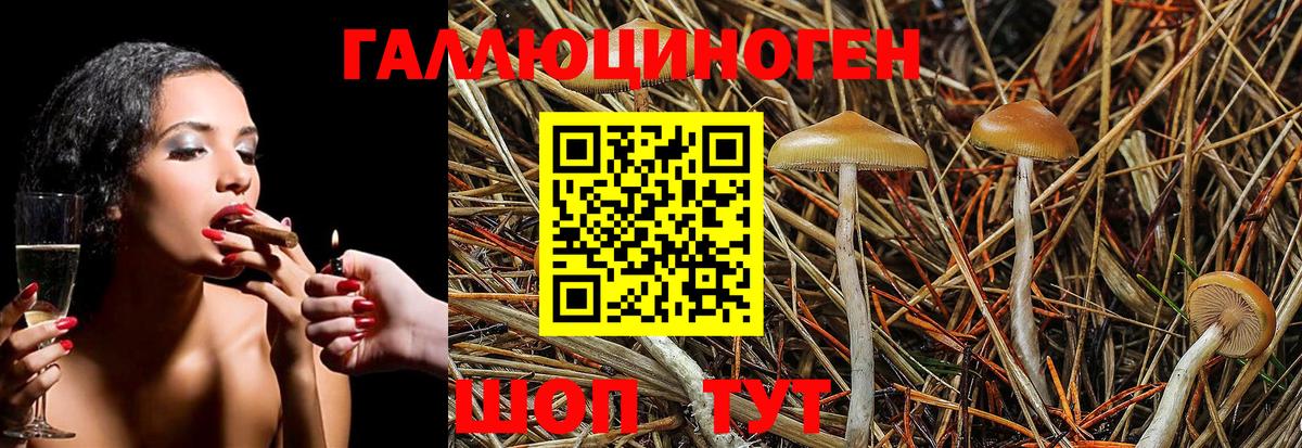 Псилоцибиновые грибы GOLDEN TEACHER Советский